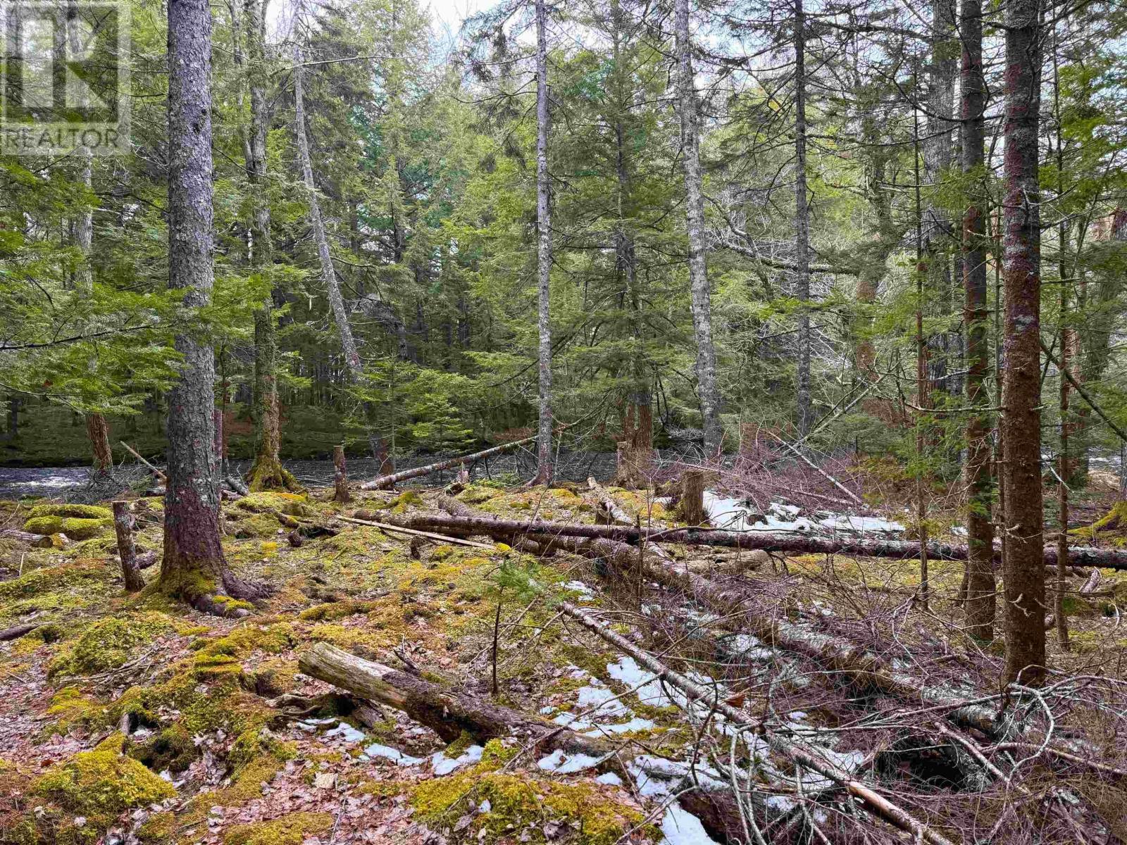 Lot Otter Lane, East Dalhousie, Nova Scotia  B0R 1H0 - Photo 10 - 202606054