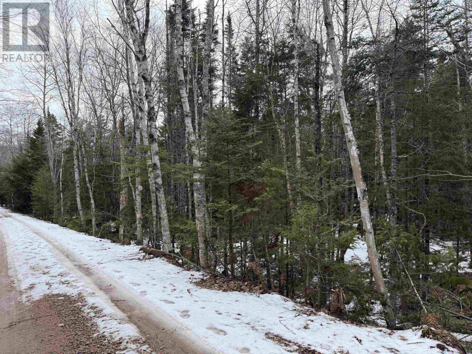 Lot Otter Lane, East Dalhousie, Nova Scotia  B0R 1H0 - Photo 7 - 202606054