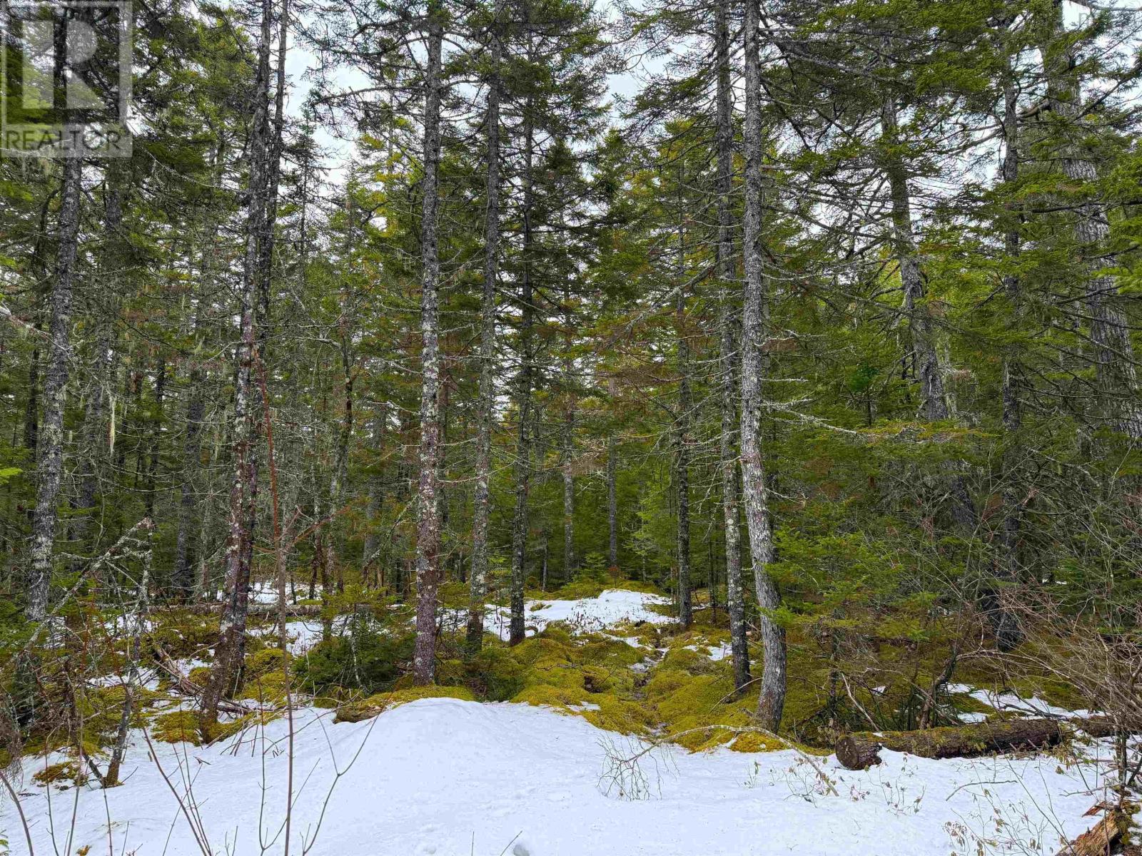 Lot Otter Lane, East Dalhousie, Nova Scotia  B0R 1H0 - Photo 8 - 202606054