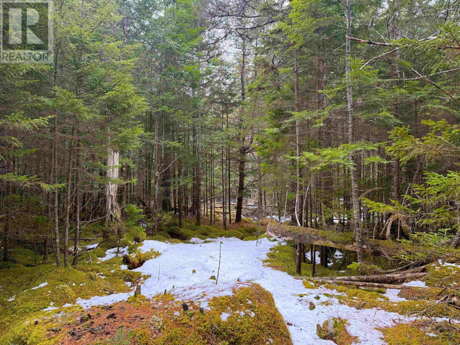 Lot Otter Lane, East Dalhousie, Nova Scotia  B0R 1H0 - Photo 9 - 202606054